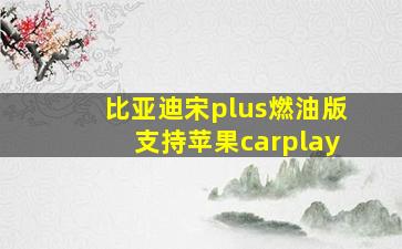 比亚迪宋plus燃油版支持苹果carplay