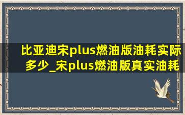 比亚迪宋plus燃油版油耗实际多少_宋plus燃油版真实油耗