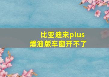 比亚迪宋plus燃油版车窗开不了