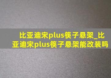 比亚迪宋plus筷子悬架_比亚迪宋plus筷子悬架能改装吗