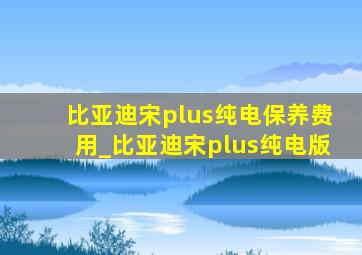 比亚迪宋plus纯电保养费用_比亚迪宋plus纯电版