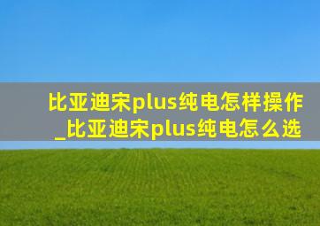 比亚迪宋plus纯电怎样操作_比亚迪宋plus纯电怎么选