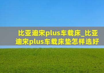 比亚迪宋plus车载床_比亚迪宋plus车载床垫怎样选好