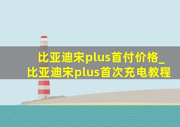 比亚迪宋plus首付价格_比亚迪宋plus首次充电教程