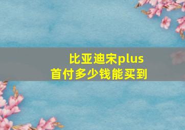 比亚迪宋plus首付多少钱能买到