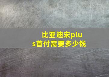 比亚迪宋plus首付需要多少钱