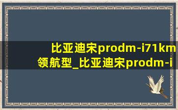 比亚迪宋prodm-i71km领航型_比亚迪宋prodm-i71km领航型价格