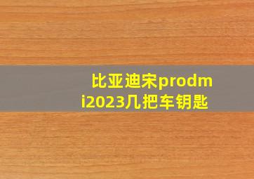 比亚迪宋prodmi2023几把车钥匙