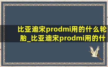 比亚迪宋prodmi用的什么轮胎_比亚迪宋prodmi用的什么压缩机