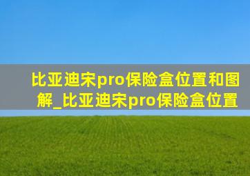 比亚迪宋pro保险盒位置和图解_比亚迪宋pro保险盒位置