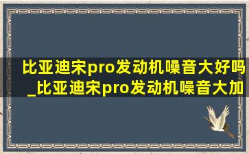 比亚迪宋pro发动机噪音大好吗_比亚迪宋pro发动机噪音大加速无力