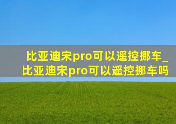 比亚迪宋pro可以遥控挪车_比亚迪宋pro可以遥控挪车吗