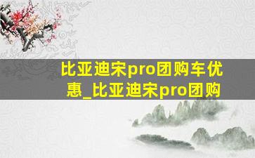 比亚迪宋pro团购车优惠_比亚迪宋pro团购