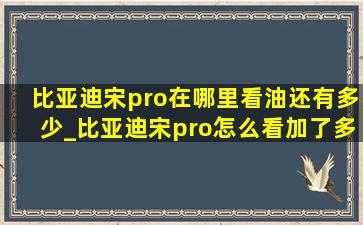 比亚迪宋pro在哪里看油还有多少_比亚迪宋pro怎么看加了多少油