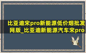 比亚迪宋pro新能源(低价烟批发网)版_比亚迪新能源汽车宋pro