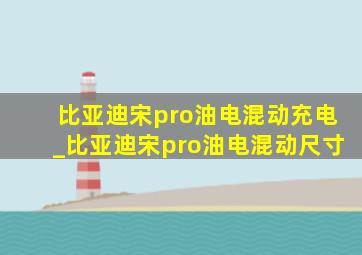 比亚迪宋pro油电混动充电_比亚迪宋pro油电混动尺寸