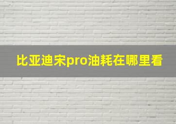 比亚迪宋pro油耗在哪里看