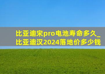 比亚迪宋pro电池寿命多久_比亚迪汉2024落地价多少钱