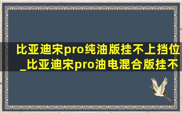 比亚迪宋pro纯油版挂不上挡位_比亚迪宋pro油电混合版挂不上挡