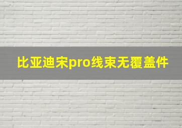 比亚迪宋pro线束无覆盖件