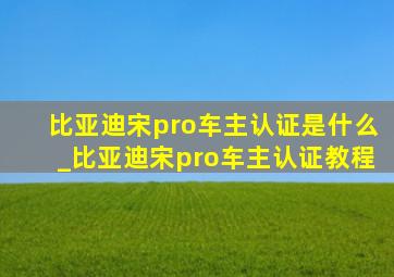 比亚迪宋pro车主认证是什么_比亚迪宋pro车主认证教程