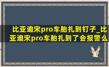 比亚迪宋pro车胎扎到钉子_比亚迪宋pro车胎扎到了会报警么