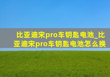 比亚迪宋pro车钥匙电池_比亚迪宋pro车钥匙电池怎么换