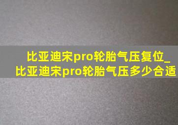 比亚迪宋pro轮胎气压复位_比亚迪宋pro轮胎气压多少合适