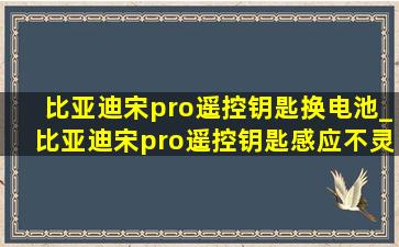 比亚迪宋pro遥控钥匙换电池_比亚迪宋pro遥控钥匙感应不灵敏