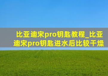 比亚迪宋pro钥匙教程_比亚迪宋pro钥匙进水后比较干燥