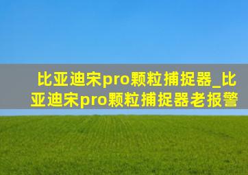 比亚迪宋pro颗粒捕捉器_比亚迪宋pro颗粒捕捉器老报警