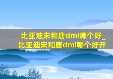 比亚迪宋和唐dmi哪个好_比亚迪宋和唐dmi哪个好开