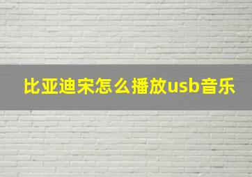 比亚迪宋怎么播放usb音乐