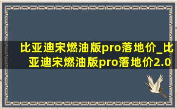 比亚迪宋燃油版pro落地价_比亚迪宋燃油版pro落地价2.0t