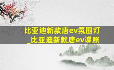 比亚迪新款唐ev氛围灯_比亚迪新款唐ev谍照