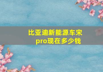 比亚迪新能源车宋pro现在多少钱