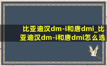 比亚迪汉dm-i和唐dmi_比亚迪汉dm-i和唐dmi怎么选