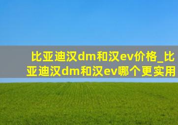 比亚迪汉dm和汉ev价格_比亚迪汉dm和汉ev哪个更实用