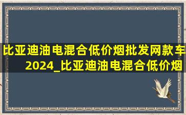 比亚迪油电混合(低价烟批发网)款车2024_比亚迪油电混合(低价烟批发网)款车2024价格