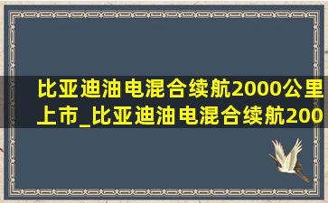 比亚迪油电混合续航2000公里上市_比亚迪油电混合续航2000公里