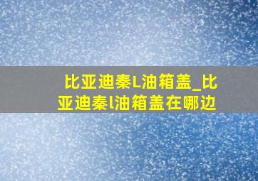 比亚迪秦L油箱盖_比亚迪秦l油箱盖在哪边