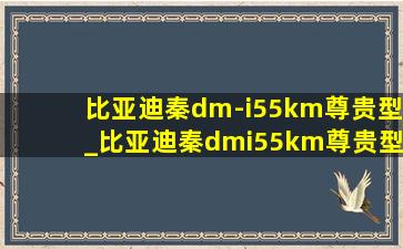 比亚迪秦dm-i55km尊贵型_比亚迪秦dmi55km尊贵型和旗舰