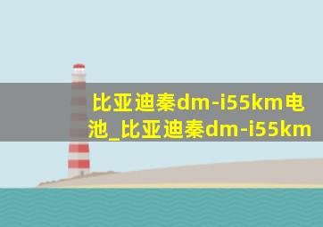 比亚迪秦dm-i55km电池_比亚迪秦dm-i55km