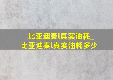 比亚迪秦l真实油耗_比亚迪秦l真实油耗多少