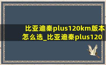 比亚迪秦plus120km版本怎么选_比亚迪秦plus120km落地价