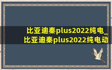 比亚迪秦plus2022纯电_比亚迪秦plus2022纯电动实际续航