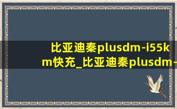 比亚迪秦plusdm-i55km快充_比亚迪秦plusdm-i55km续航评测