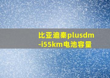 比亚迪秦plusdm-i55km电池容量