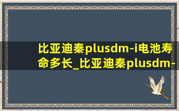 比亚迪秦plusdm-i电池寿命多长_比亚迪秦plusdm-i电池寿命多久