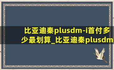 比亚迪秦plusdm-i首付多少最划算_比亚迪秦plusdm-i首付多少